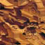 image10