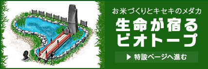 米づくりとキセキのメダカ 田無神社ビオトープ