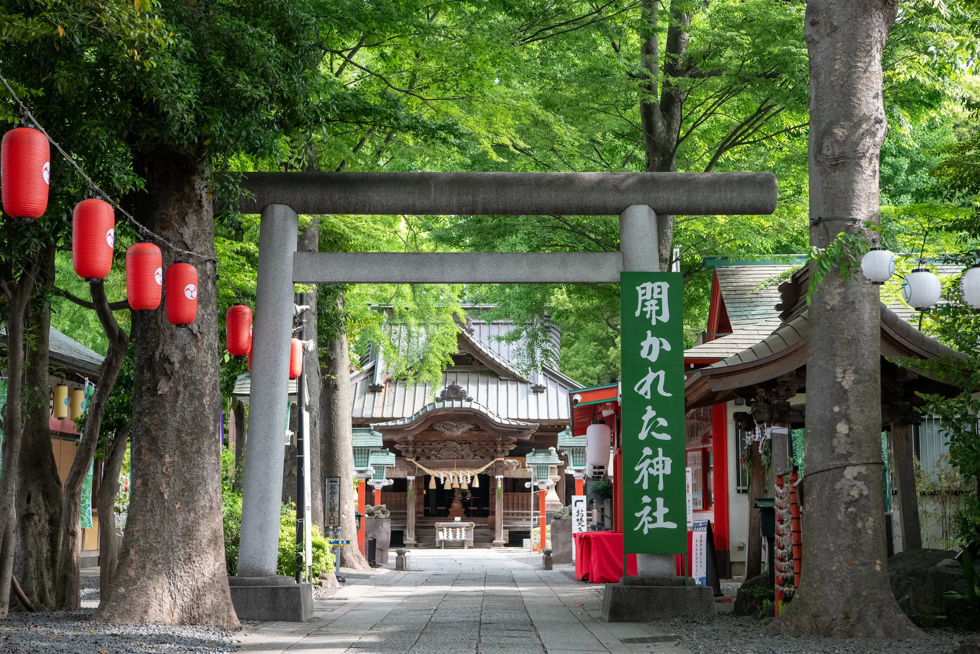 鎮守の杜08