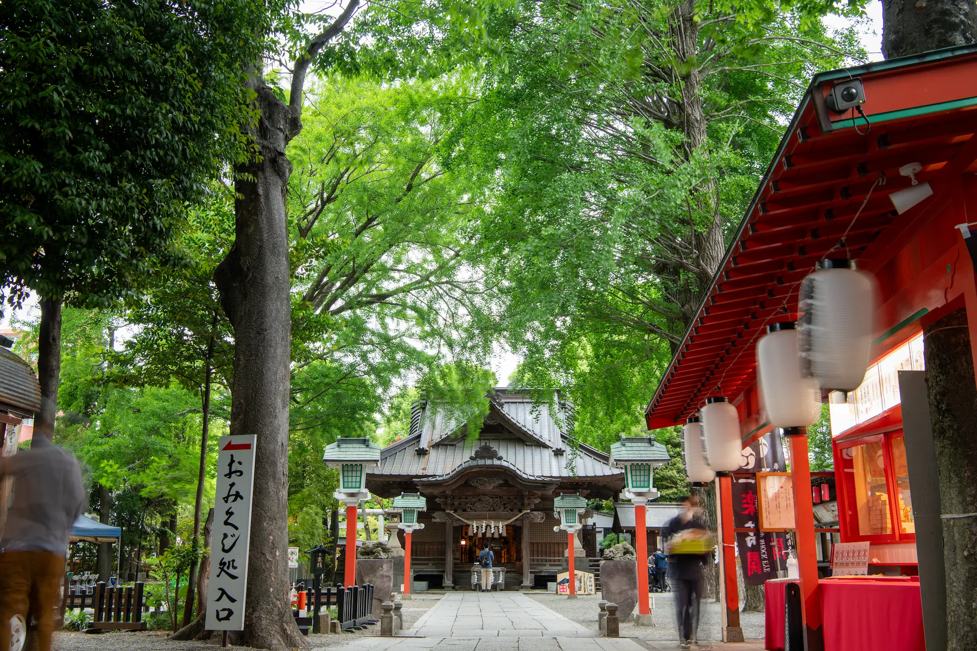 鎮守の杜19