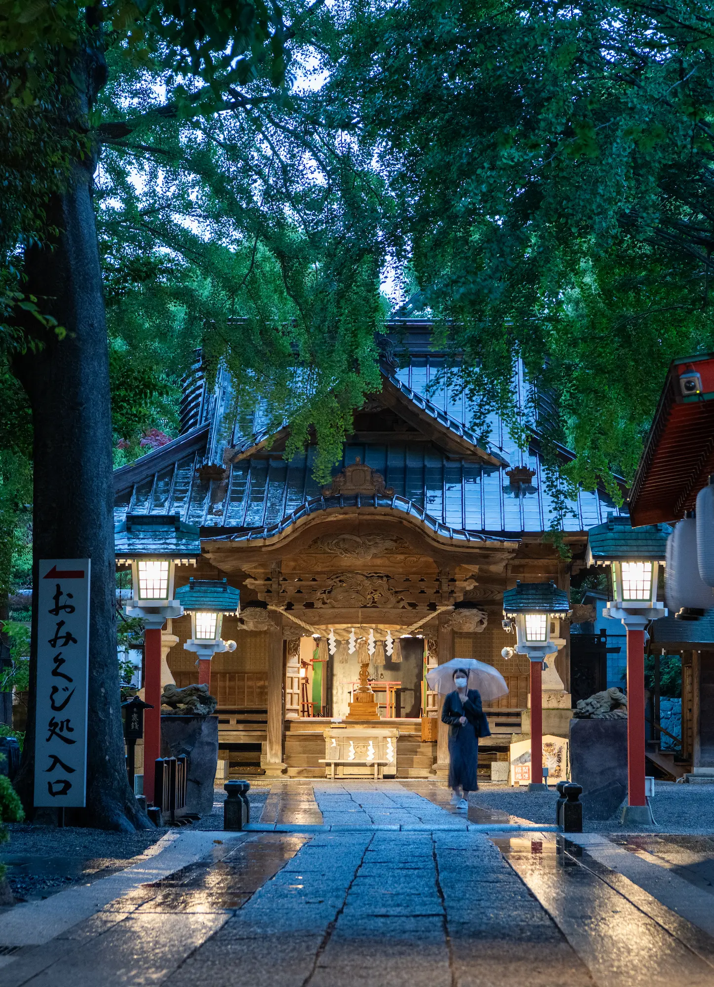 鎮守の杜20