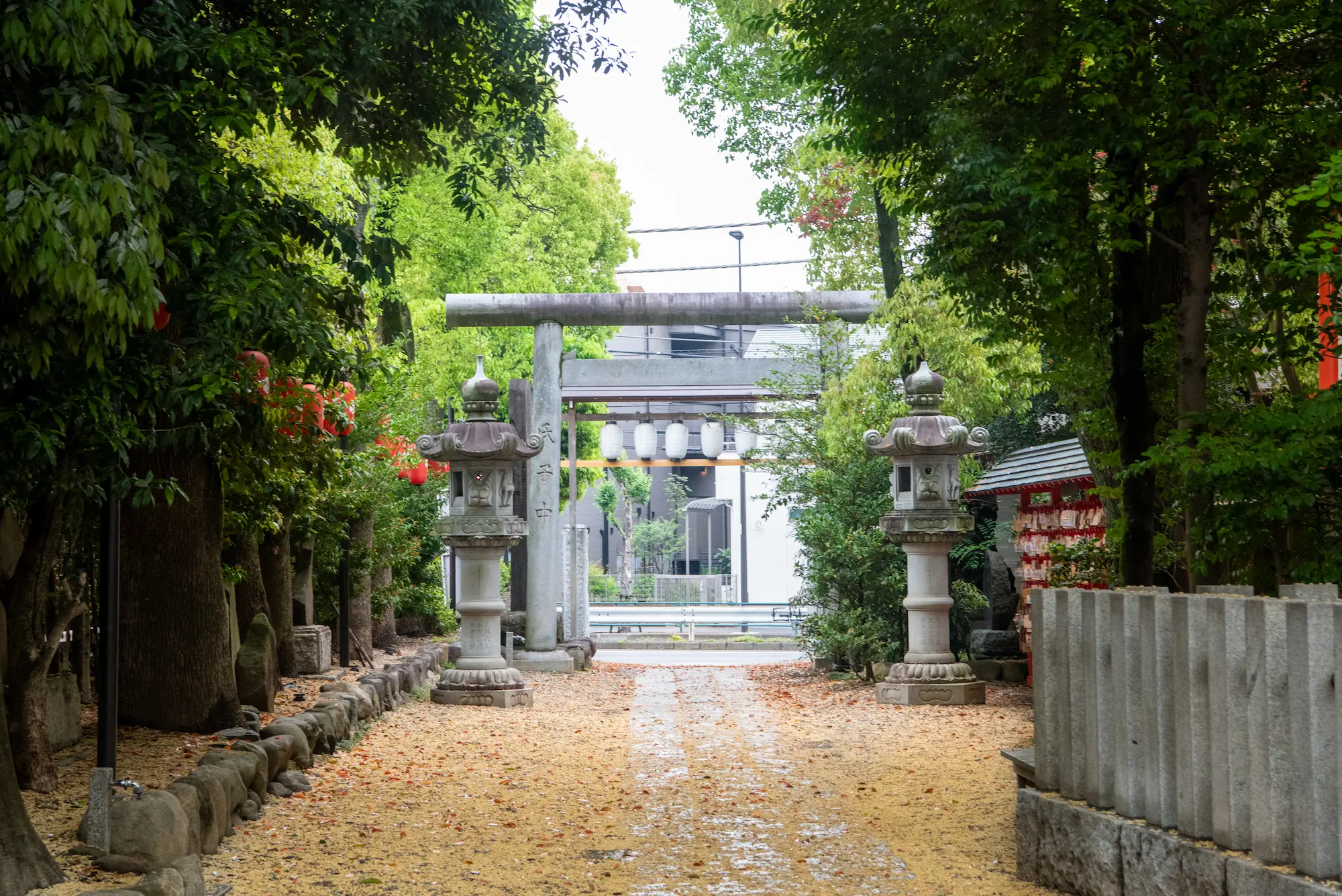 鎮守の杜25