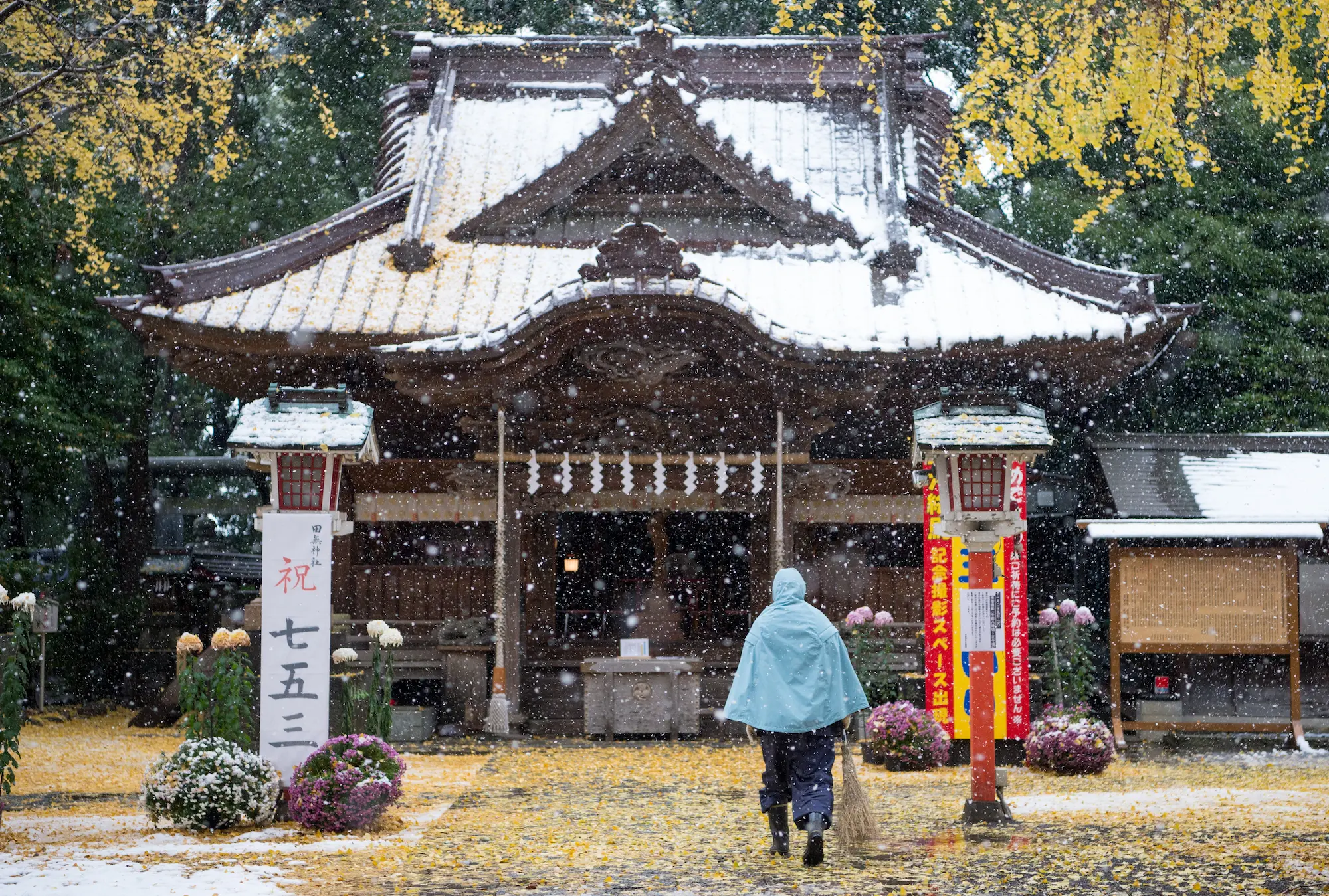 雪降る神社15