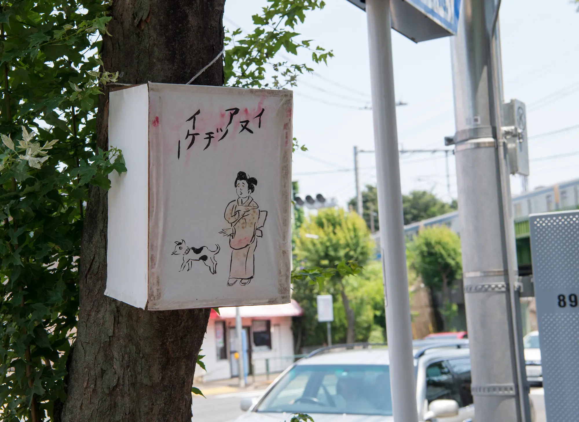 真夏の津嶋のお神輿20