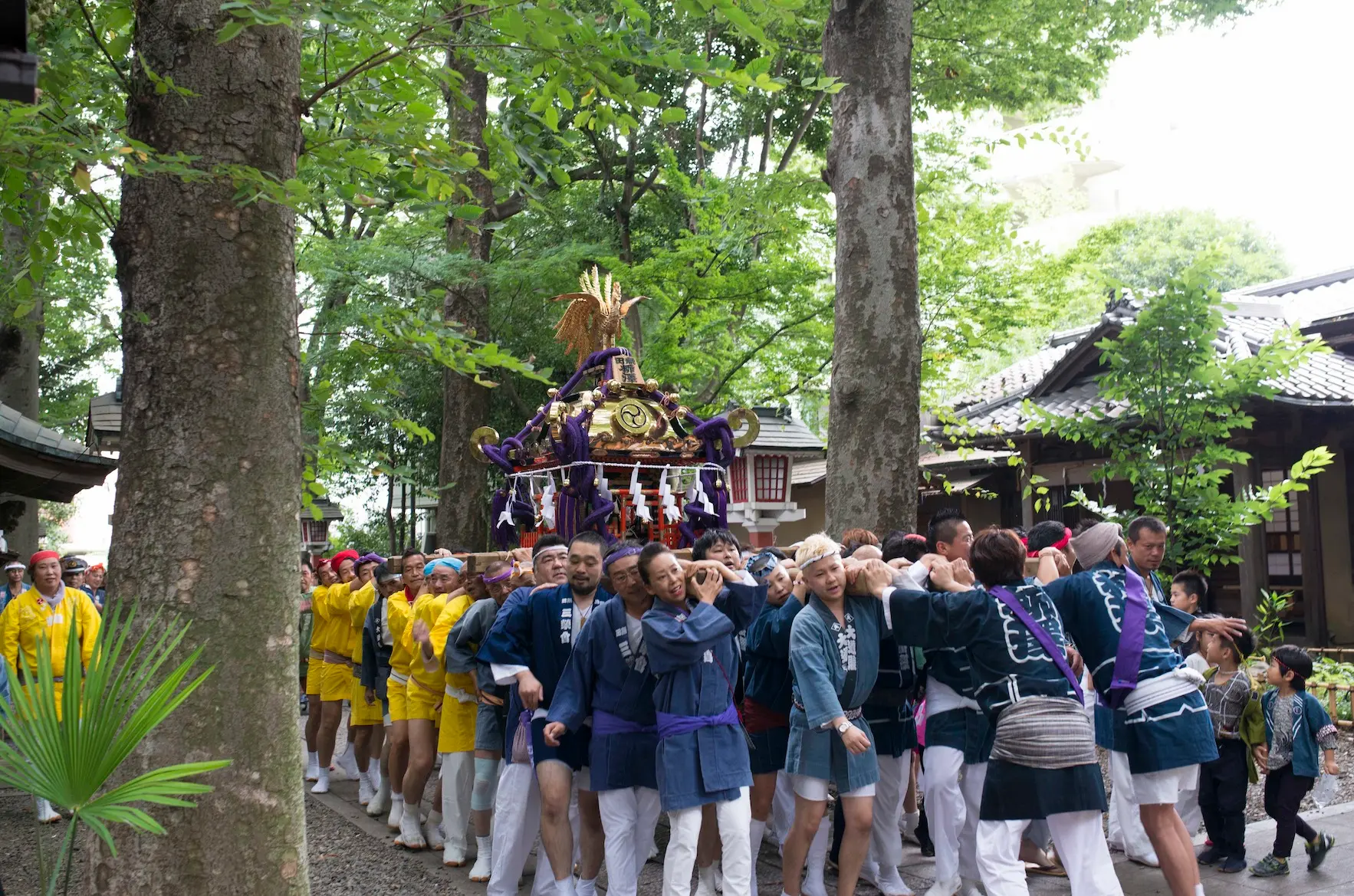 真夏の津嶋のお神輿24